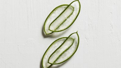 Finest Ingredients On Earth Article 4 Kérastase